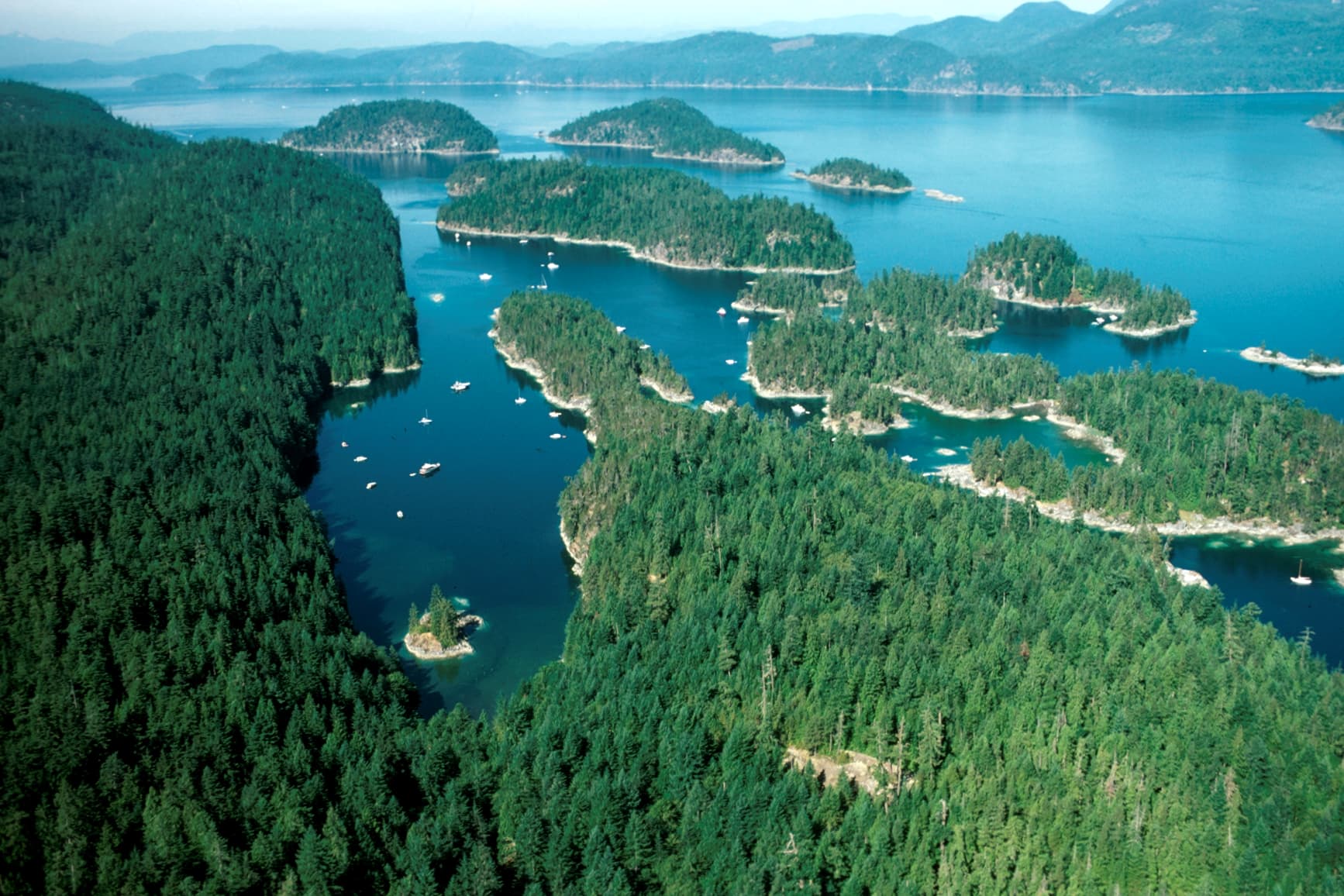 Zodiac Boat Tours