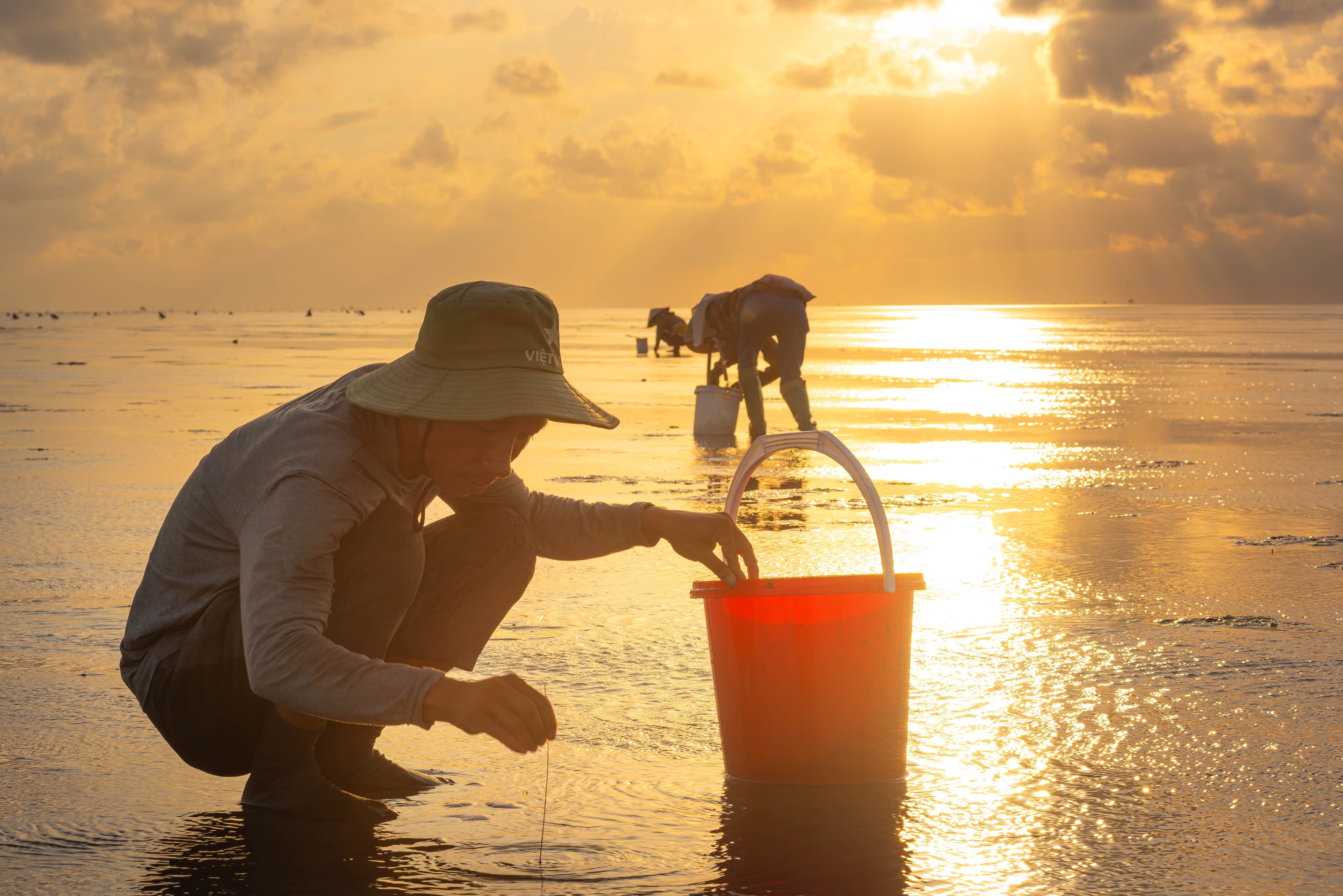 Shellfish Harvesting
