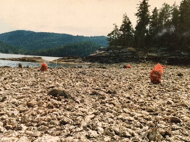 Shellfish Harvesting