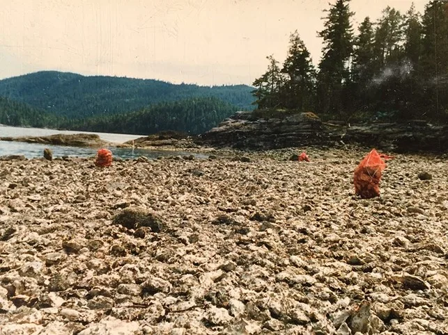 Shellfish Harvesting